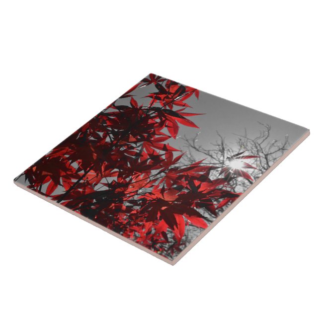 Embers of Autumn Ceramic Tile (Side)