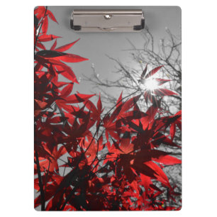 Embers of Autumn Clipboard