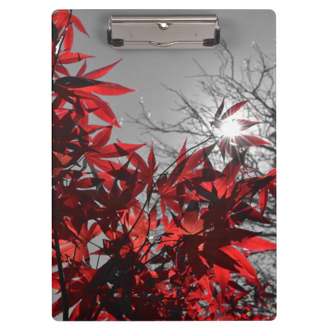 Embers of Autumn Clipboard (Front)