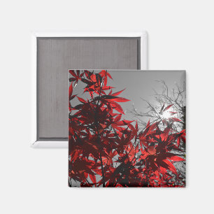 Embers of Autumn Magnet