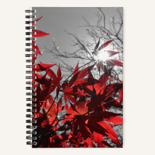 Embers of Autumn Notebook