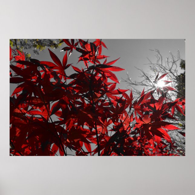 Embers of Autumn Poster (Front)