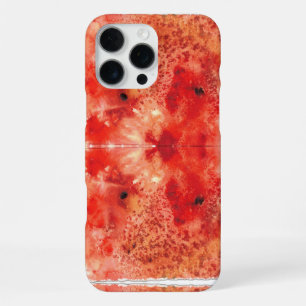 Embers Unfolding iPhone 16 Pro Max Case