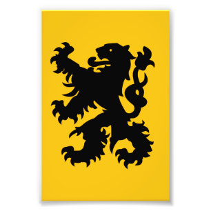 Emblem of Flemish Lion Photo Print
