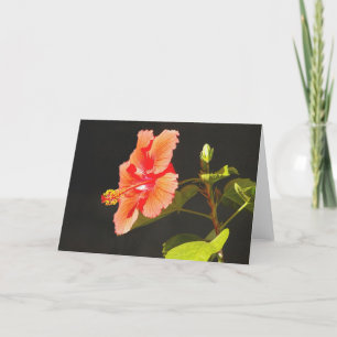 Embossed Red Hibiscus, Brenda's Flower Card