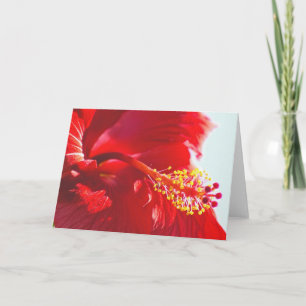 Embossed Red Hibiscus, Flame Card