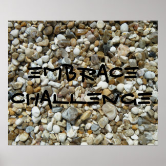 Embrace Challenge. Poster