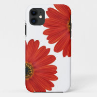 Embrace Happiness Daisies