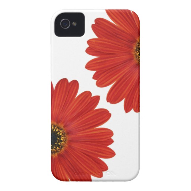 Embrace Happiness Daisies Case-Mate iPhone Case (Back)