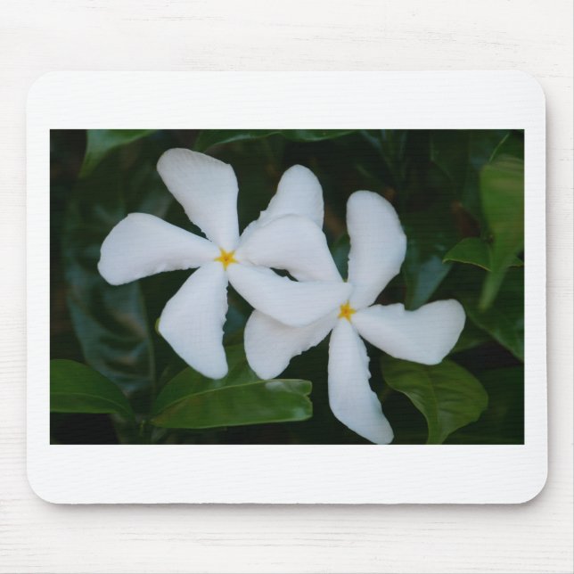 Embrace.JPG Mouse Pad (Front)