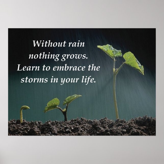 Embrace The Storm - Motivational Poster (Front)