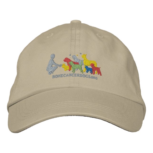 Embroidered Colour Logo Embroidered Hat (Front)
