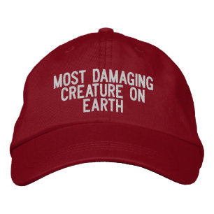 Embroidered Hat