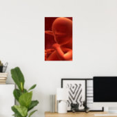 Embryonic Development 2 Poster (Home Office)