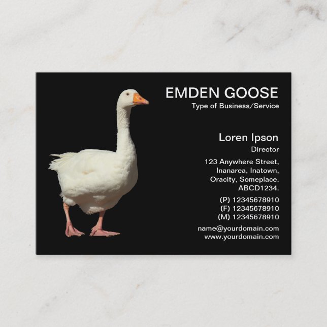 Emden Goose - Black Business Card (Front)