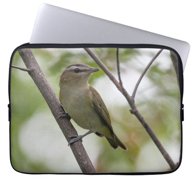 Emerald Elegance: Red-Eyed Vireo Canadian Wildlife Laptop Sleeve (Front)