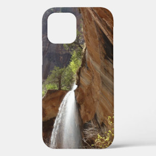 Emerald Pool Falls III from Zion National Park iPhone 12 Case