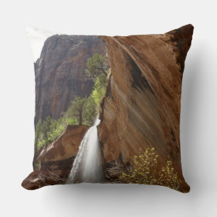 Emerald Pool Falls III from Zion National Park Cushion