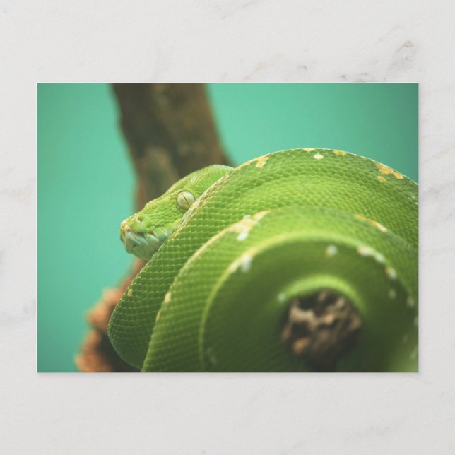 Emerald Postcard (Front)