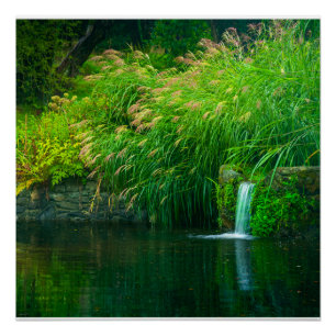 Emerald Stillness by the Garden Falls Poster