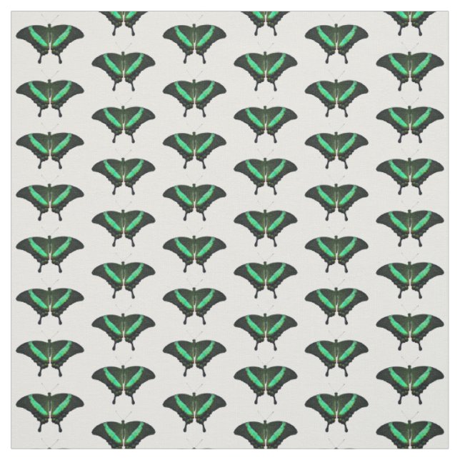 Emerald Swallowtail Butterfly Fabric (Swatch)