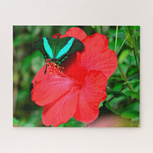 Emerald Swallowtail Butterfly. Jigsaw Puzzle