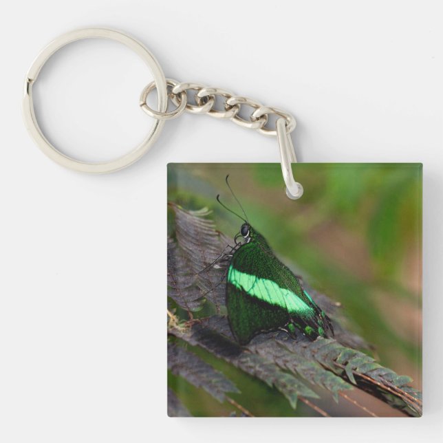 Emerald Swallowtail Key Ring (Front)