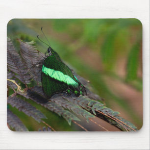 Emerald Swallowtail Mouse Pad