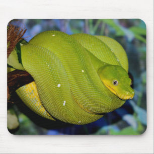 Emerald Tree Boa Snake Mouse Pad