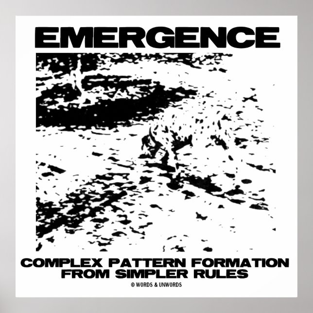 Emergence Complex Pattern Formation From Simpler Poster (Front)