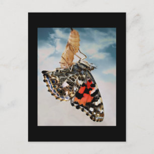 Emergence Postcard