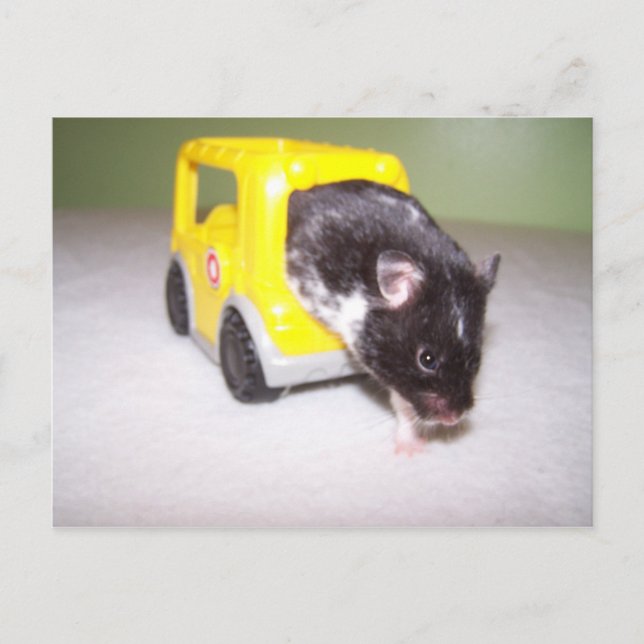 emergency exit Noah Postcard (Front)