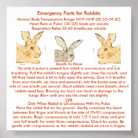 Emergency Facts for Flemish Giant Rabbits