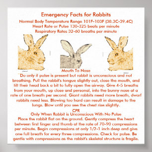 Emergency Facts for Flemish Giant Rabbits Poster