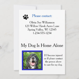 Emergency Pet (Dog) Care Wallet Card