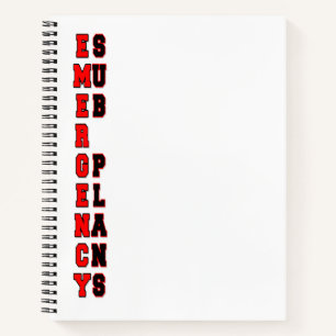 Emergency Sub Plans Notebook