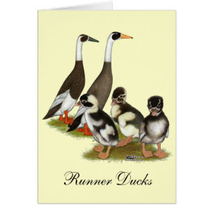 Emery Penciled Runner Duck Family