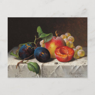 Emilie Preyer: Fruits and Fly Postcard