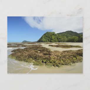 Emmagen Beach, Daintree National Park (UNESCO 3 Postcard