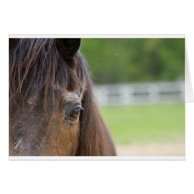 Emma's Eye (Front Horizontal)