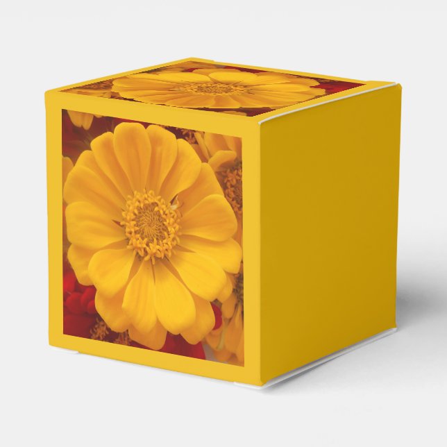 Emmeline Favour Box (Back Side)