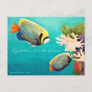 Emperor Angel Postcard