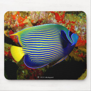 “Emperor Angelfish”のマウスパッド,No.01 Mouse Pad