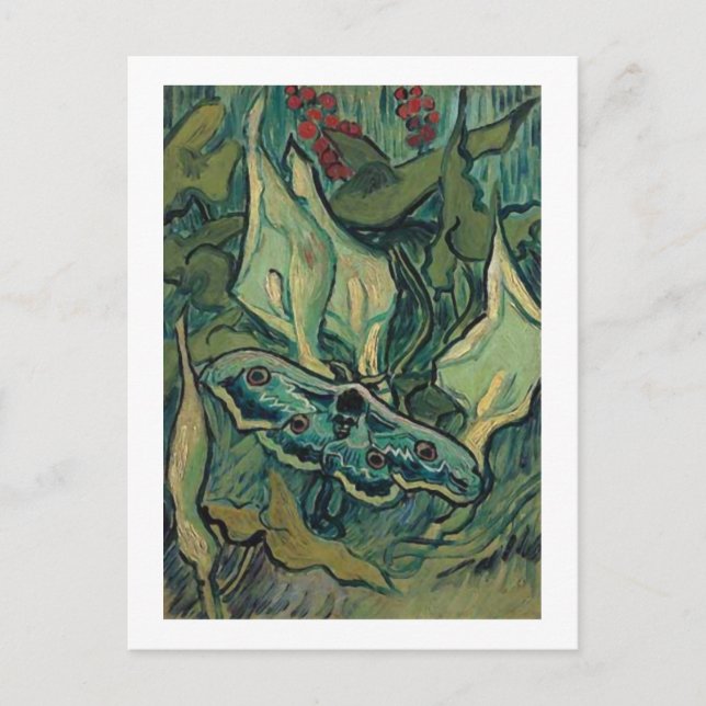Emperor Moth, Vincent van Gogh Postcard (Front)
