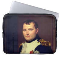 Emperor Napoleon in His Study at the Tuileries