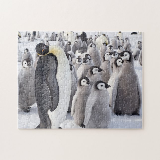 Emperor Penguin adult with chicks Jigsaw Puzzle (Horizontal)