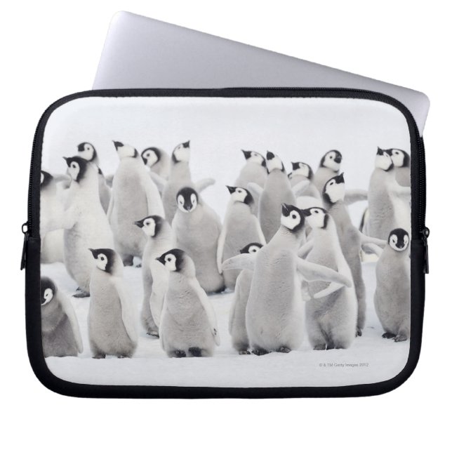 Emperor Penguin (Aptenodytes forsteri) Laptop Sleeve (Front)