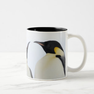 Emperor Penguin (Aptenodytes forsteri) Two-Tone Coffee Mug
