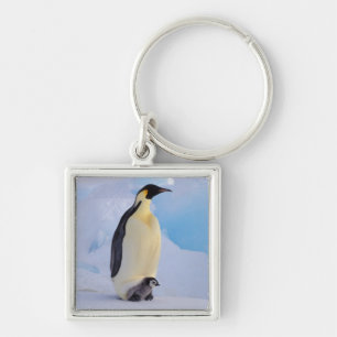 Emperor Penguin   Aptenodytes Key Ring