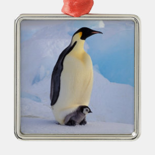 Emperor Penguin Aptenodytes Metal Tree Decoration